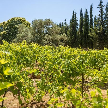 Gullu Konaklari Σελτσούκ Εξωτερικό φωτογραφία